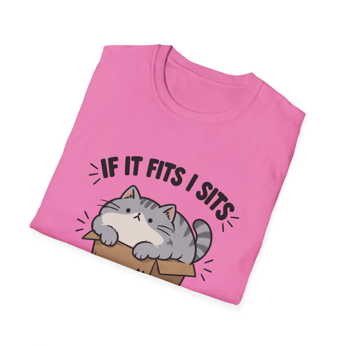 If It Fits I Sits T-Shirt